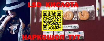 spice Обнинск