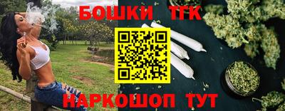 шишки Обь