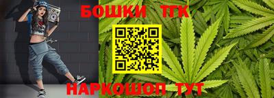 шишки Обь