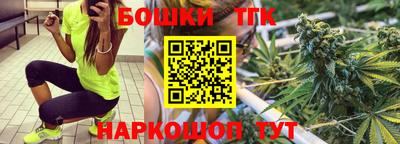 шишки Обь
