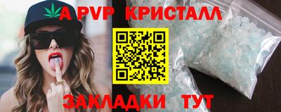 шишки Обь