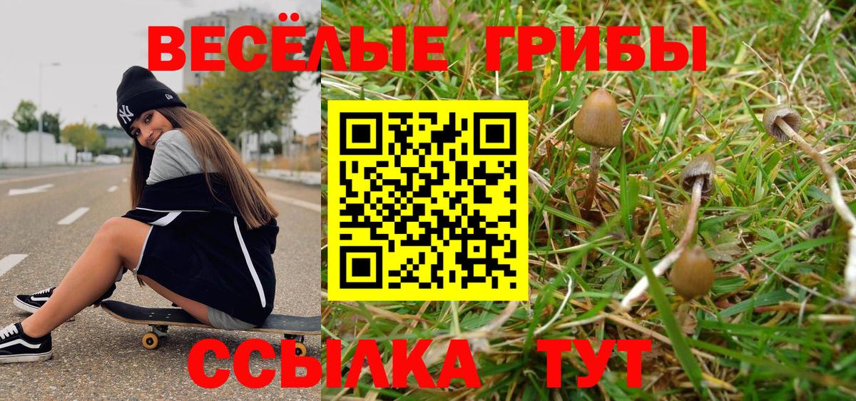 Галлюциногенные грибы Magic Shrooms Сорочинск