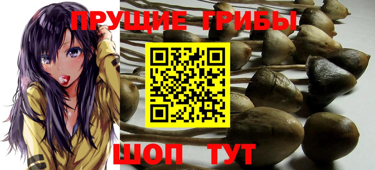 Сорочинск  Псилоцибиновые грибы мухоморы  Галлюциногенные грибы Cubensis  Вход с VPN 